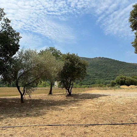 Villa Mas Grenadine, Magnifique Du Piémont Cévenol