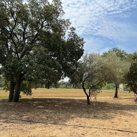 Villa Mas Grenadine, Magnifique Du Piémont Cévenol Sauve