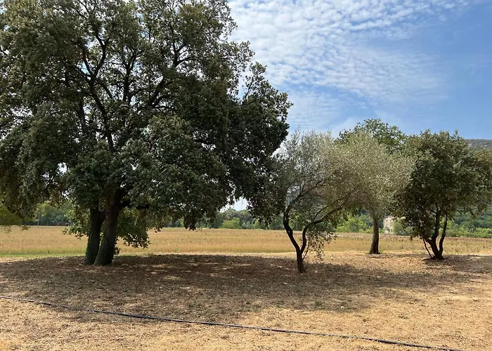 Villa Mas Grenadine, Magnifique Du Piémont Cévenol Sauve